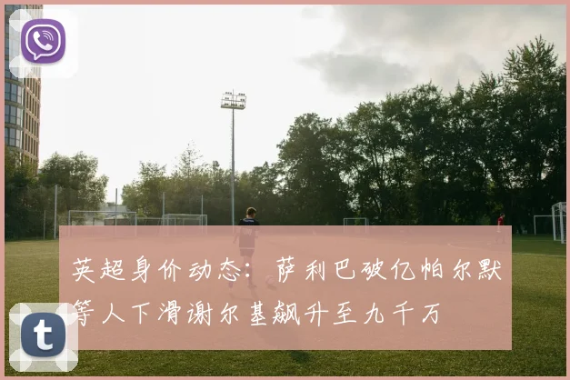 英超身价动态：萨利巴破亿帕尔默等人下滑谢尔基飙升至九千万