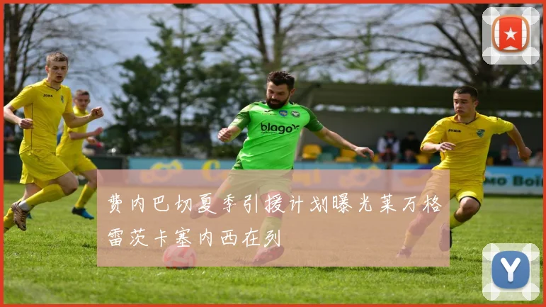 费内巴切夏季引援计划曝光莱万格雷茨卡塞内西在列